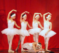 Le Lac des Cygnes 2010