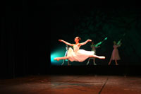 Cendrillon 2008