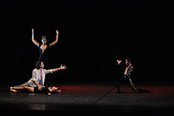Spectacle du Ballet Studio Marius