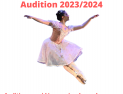 AUDITION SECTION PRO 2023/2024