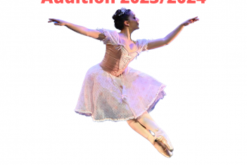 AUDITION SECTION PRO 2023/2024