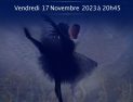 LE LAC DES CYGNES