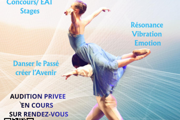 AUDITION SECTION PRO 2026/2027